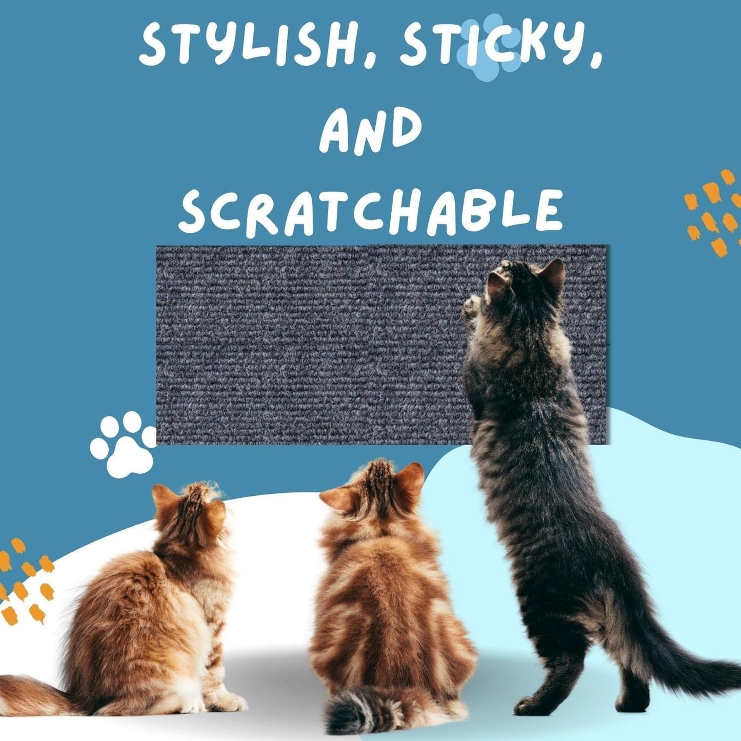Hot sale -49%🔥Cat Scratching