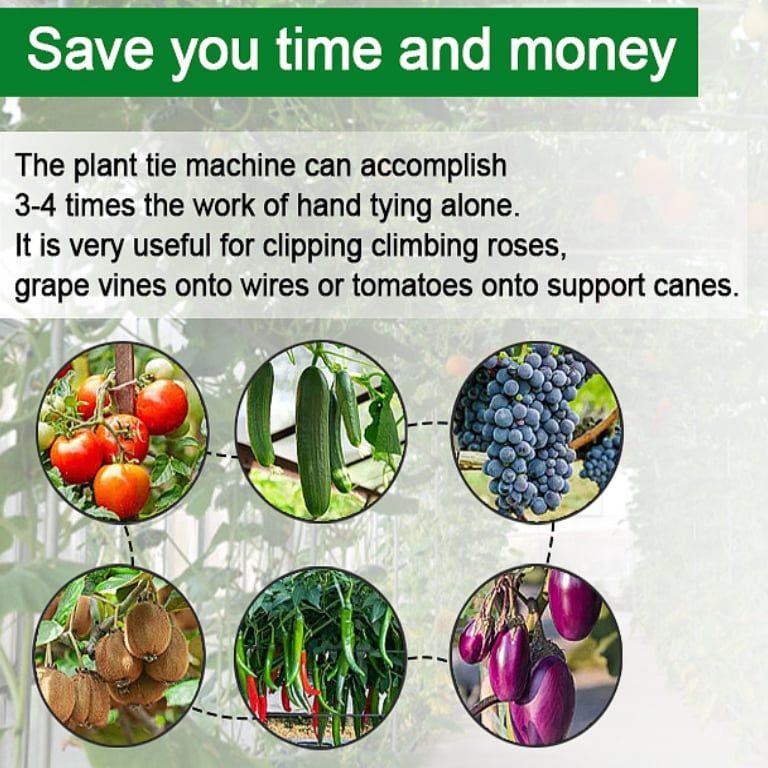 🍇Plant Tying Machine🌶️