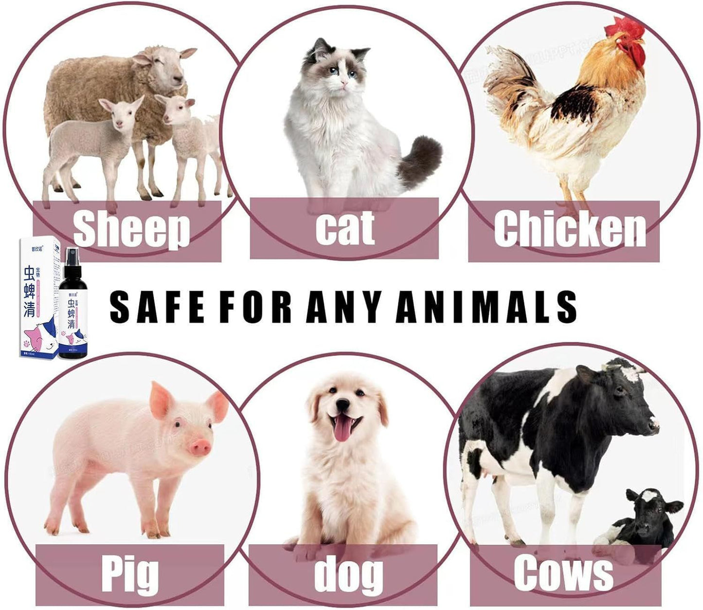 PET INSECTICIDE SPRAY