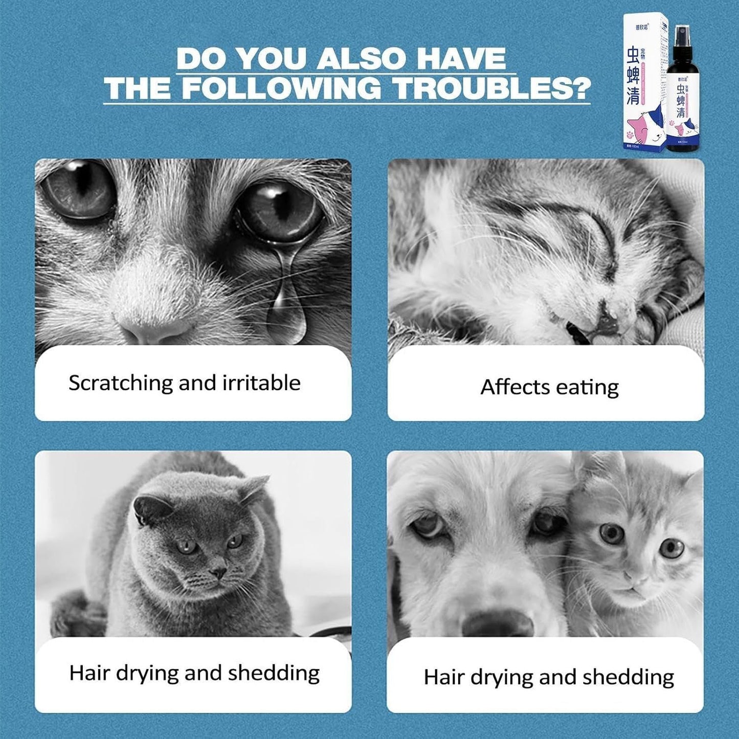 PET INSECTICIDE SPRAY