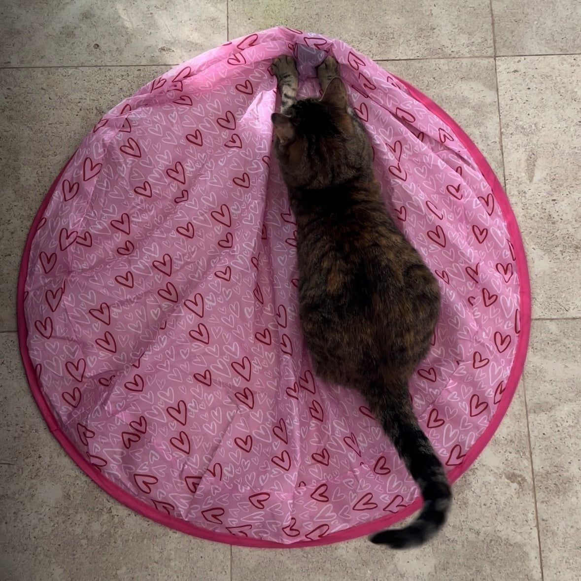 Stimulating Cat Hunting Toy + Free Ball