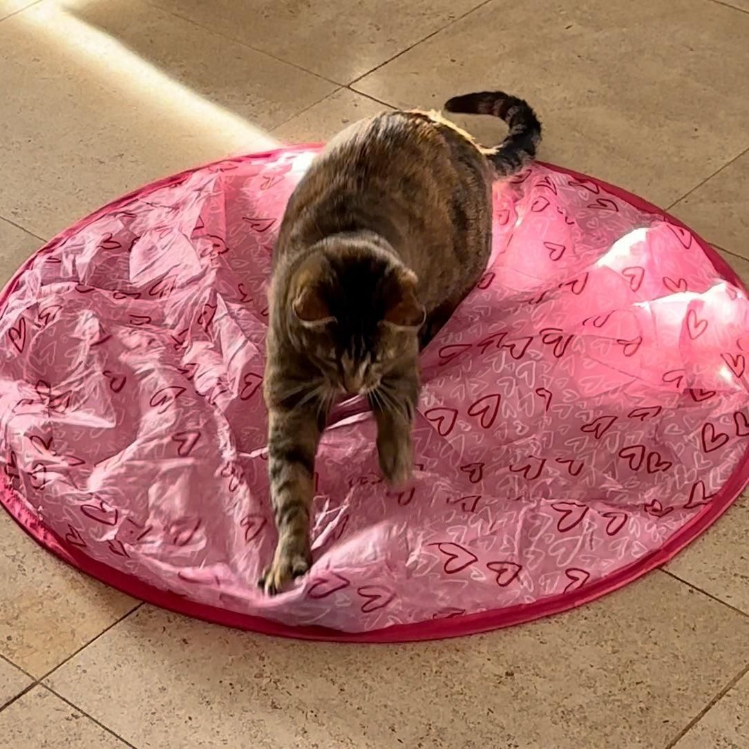 Stimulating Cat Hunting Toy + Free Ball