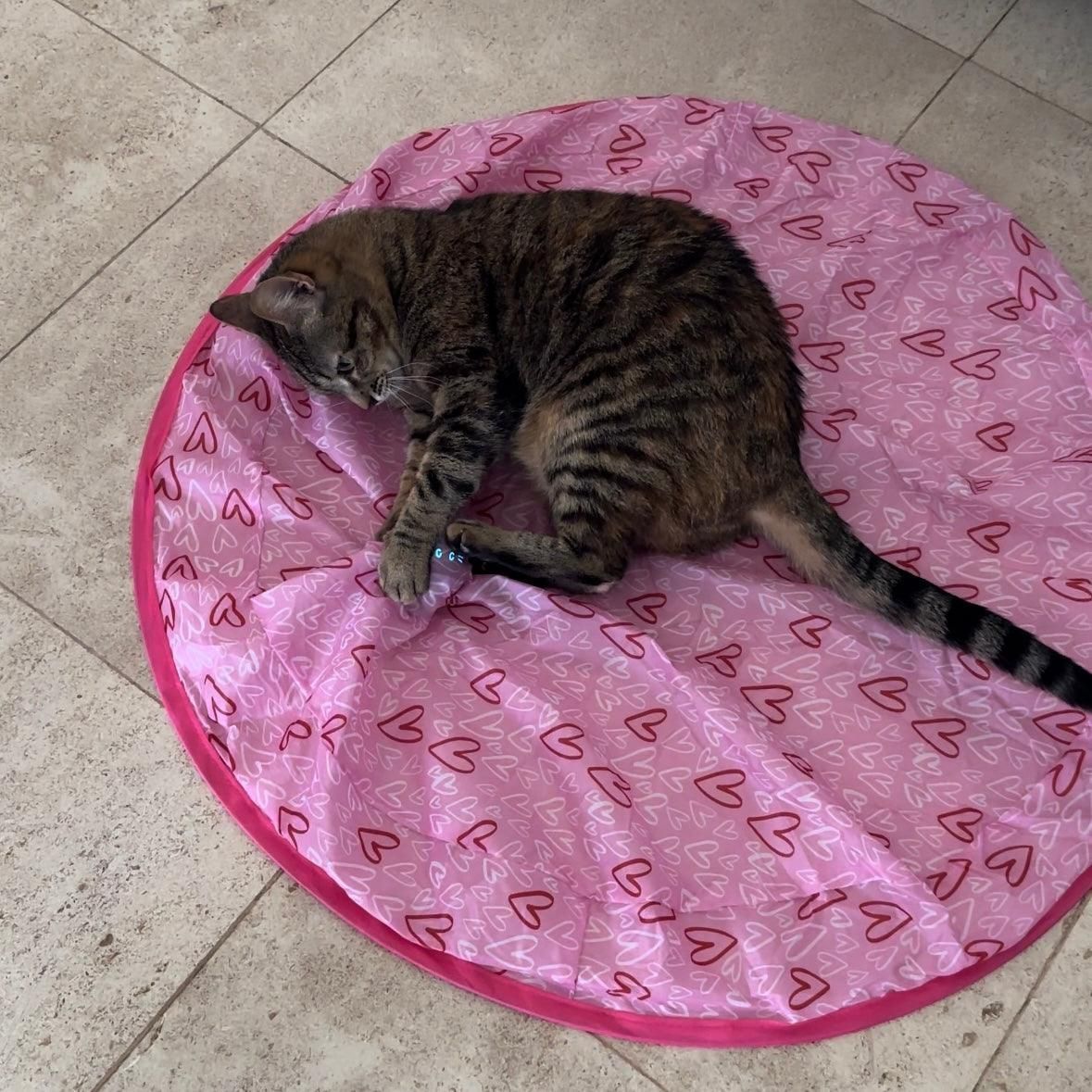 Stimulating Cat Hunting Toy + Free Ball