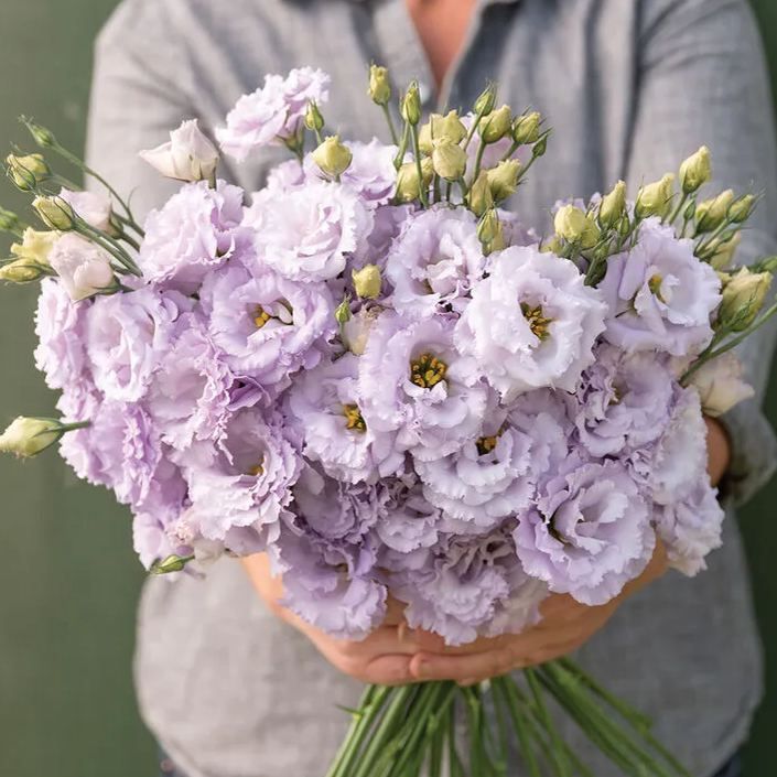 💜Mix Color Lisianthus Seeds