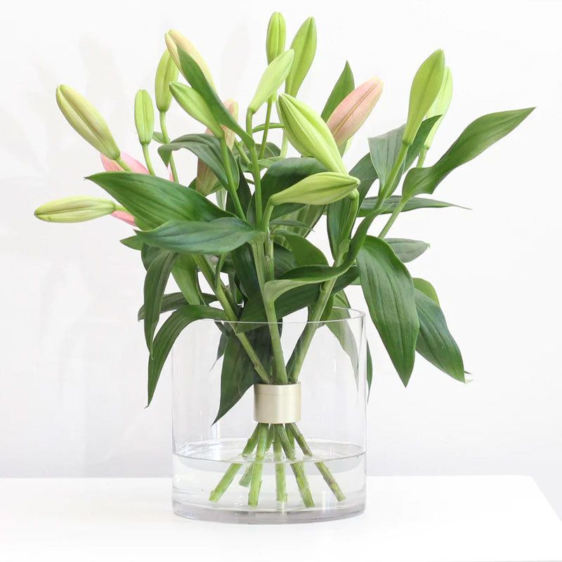 Spiral Ikebana Stem Holder