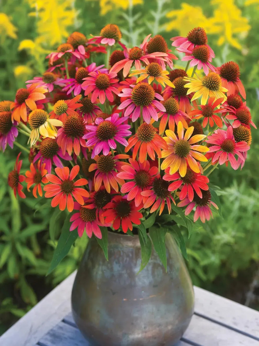 Blend Sunflower Zinnia Echinacea Cosmos Salvia