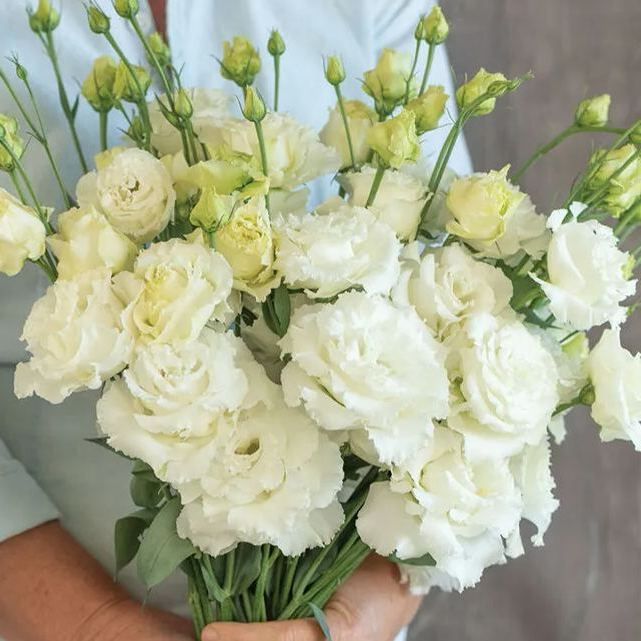 💜Mix Color Lisianthus Seeds