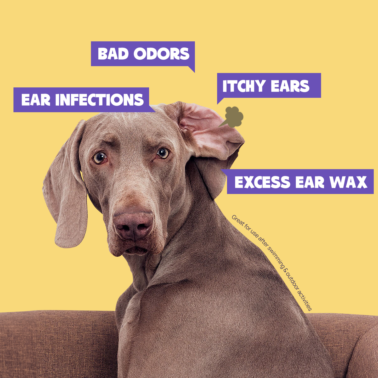 Pet Ear Relief Finger Wipes-100 Pcs