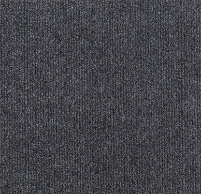 Hot sale -49%🔥Cat Scratching