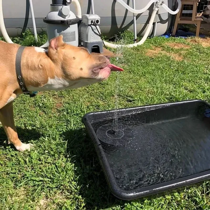 Solar Powered Water Fountain