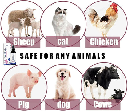 PET INSECTICIDE SPRAY