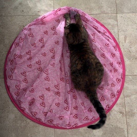 Stimulating Cat Hunting Toy + Free Ball
