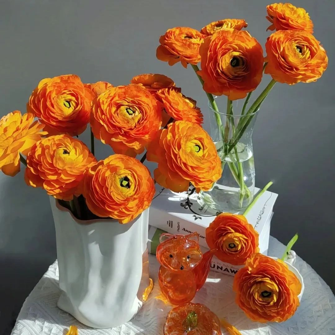 Multicolor Ranunculus Seeds