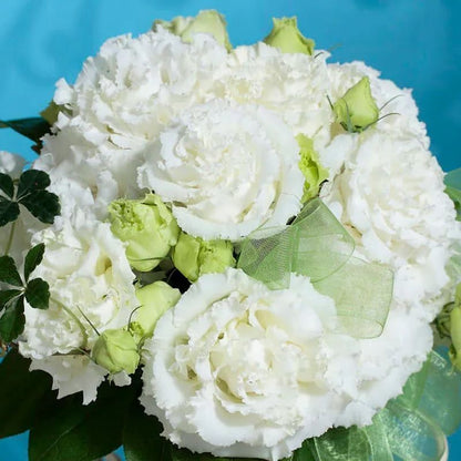 💜Mix Color Lisianthus Seeds